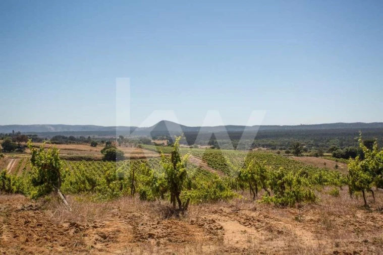 Terreno para Venda em Aveiras de Cima Foto 21