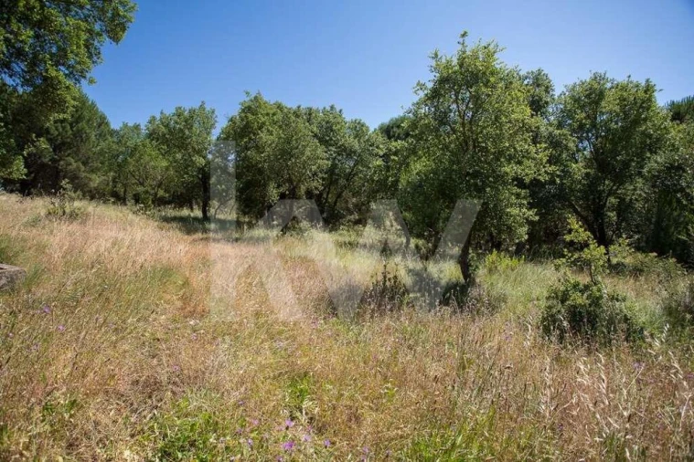 Terreno para Venda em Aveiras de Cima Foto 5