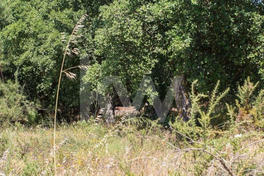 Terreno para Venda em Aveiras de Cima Foto 19