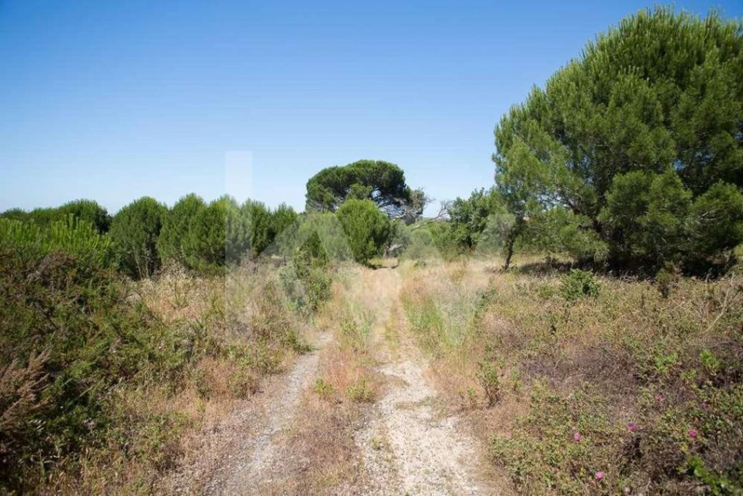 Terreno para Venda em Aveiras de Cima Foto 15