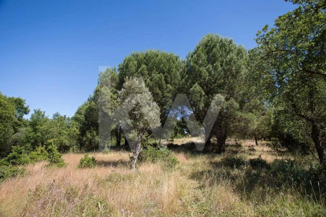 Terreno para Venda em Aveiras de Cima Foto 7