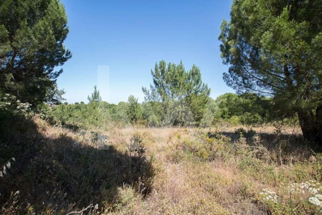 Terreno para Venda em Aveiras de Cima Foto 20