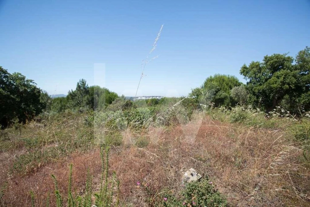 Terreno para Venda em Aveiras de Cima Foto 17