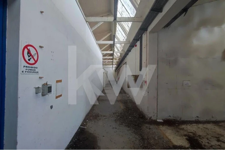 Armazém para Venda em Falagueira-Venda Nova Foto 25