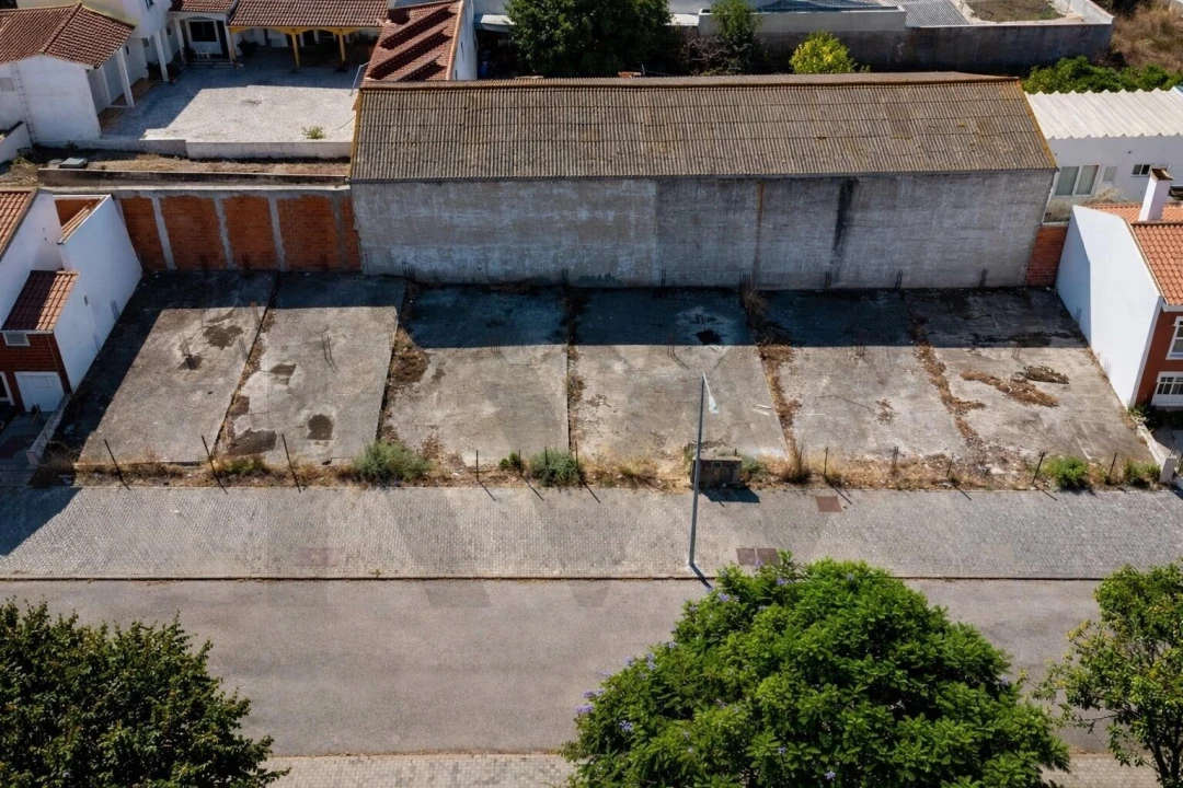 Terreno para Venda em Alpiarça Foto 11