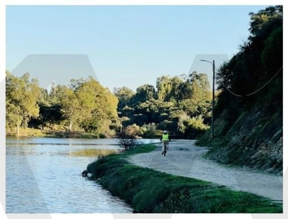 Terreno para Venda em Alpiarça Foto 22
