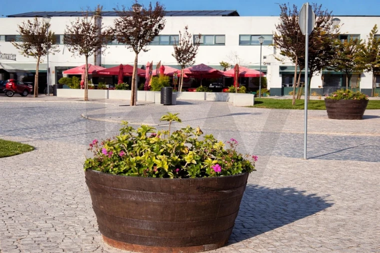 Terreno para Venda em Alpiarça Foto 23