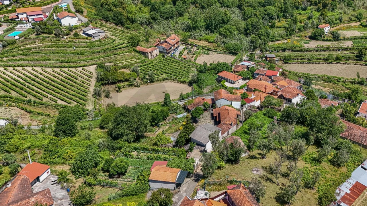 Moradia T3 para Venda em Santa Cruz do Douro e São Tomé de Covelas Foto 26