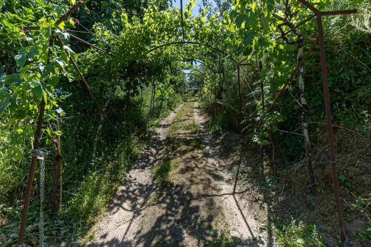 Moradia T3 para Venda em Santa Cruz do Douro e São Tomé de Covelas Foto 32