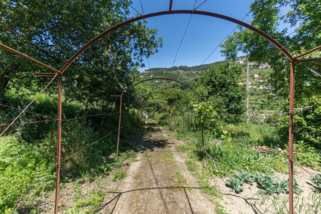 Moradia T3 para Venda em Santa Cruz do Douro e São Tomé de Covelas Foto 45