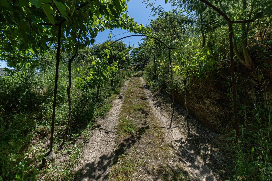 Moradia T3 para Venda em Santa Cruz do Douro e São Tomé de Covelas Foto 33