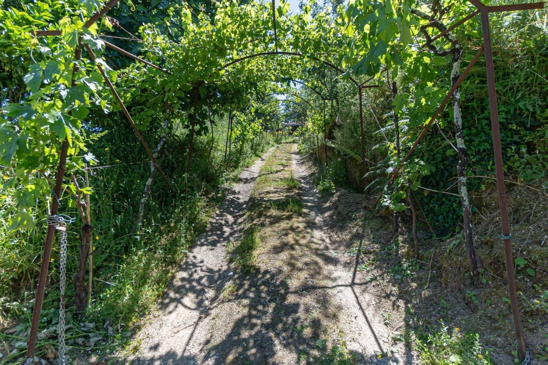 Moradia T3 para Venda em Santa Cruz do Douro e São Tomé de Covelas Foto 1