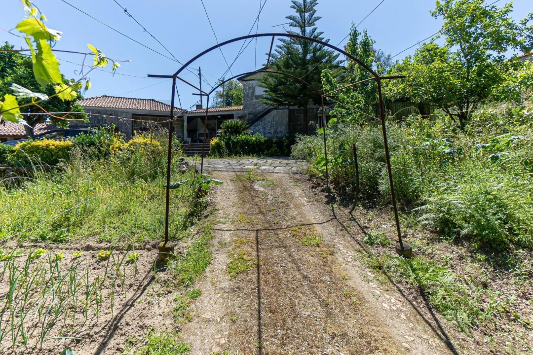 Moradia T3 para Venda em Santa Cruz do Douro e São Tomé de Covelas Foto 34
