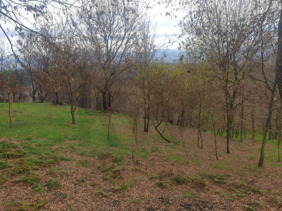 Quinta T1 para Venda em Rio Douro Foto 9