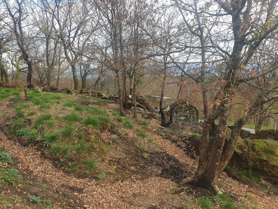 Quinta T1 para Venda em Rio Douro Foto 5