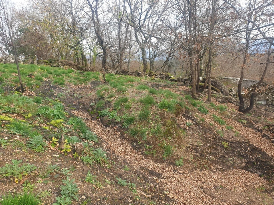 Quinta T1 para Venda em Rio Douro Foto 3