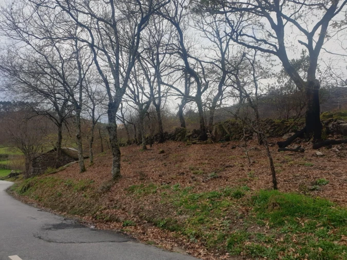 Quinta T1 para Venda em Rio Douro Foto 6