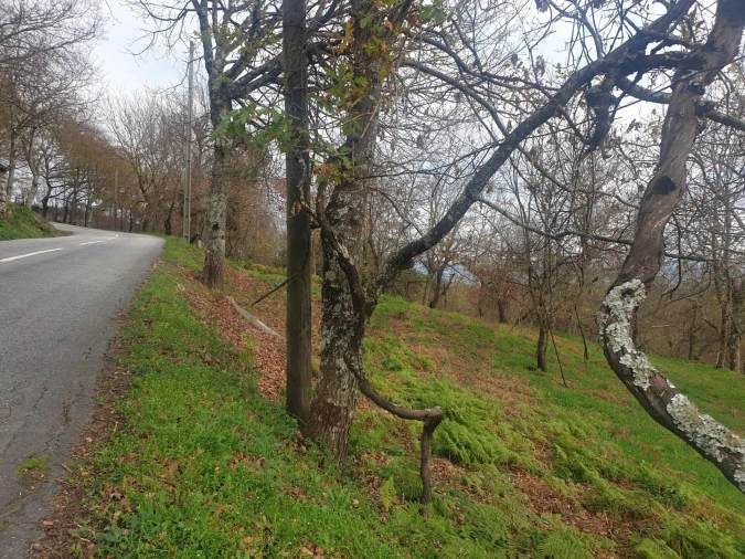 Quinta T1 para Venda em Rio Douro Foto 11