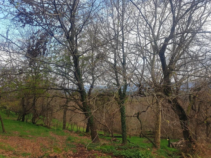 Quinta T1 para Venda em Rio Douro Foto 10