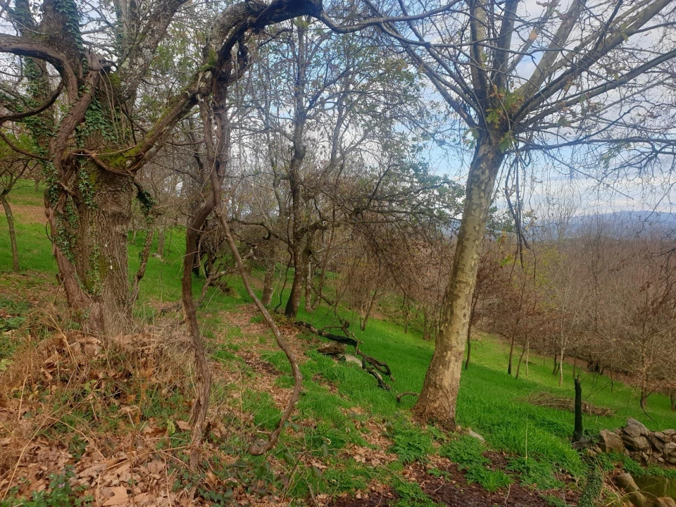 Quinta T1 para Venda em Rio Douro Foto 20