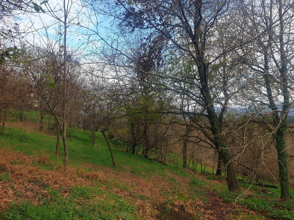 Quinta T1 para Venda em Rio Douro Foto 18