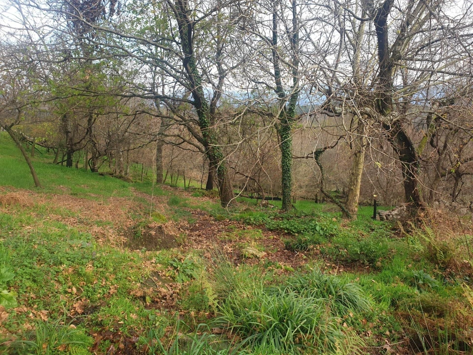 Quinta T1 para Venda em Rio Douro Foto 4