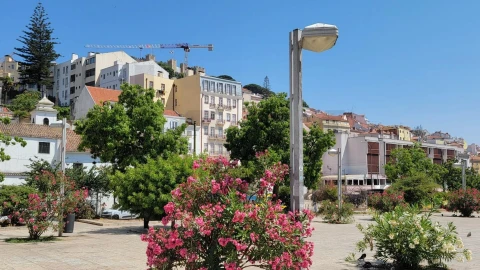 Loja para Venda em Santa Maria Maior