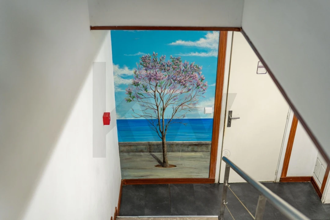 Negócio para Trespasse em Funchal (Se) Foto 15