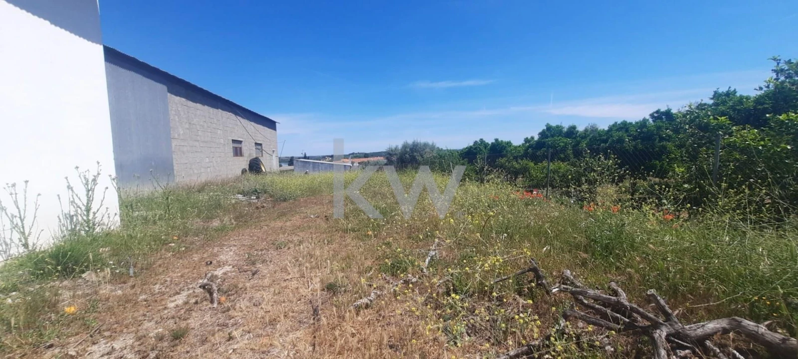 Armazém para Venda em Benavila e Valongo Foto 30