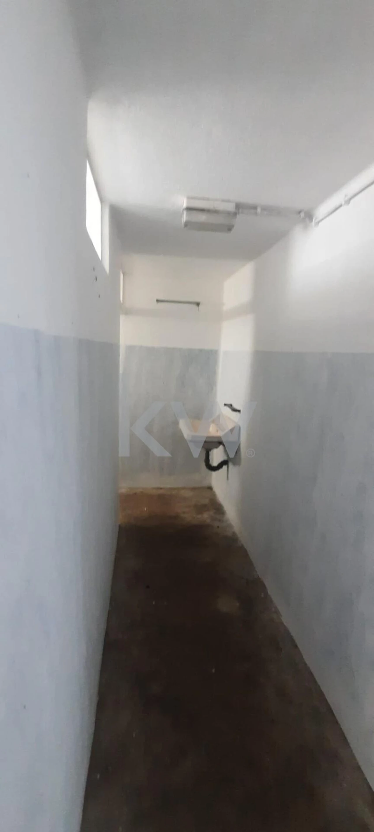 Armazém para Venda em Benavila e Valongo Foto 13