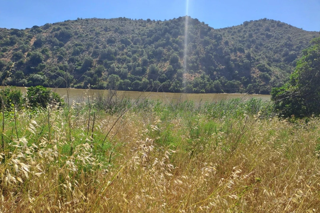 Terreno para Venda em Alcoutim e Pereiro Foto 2