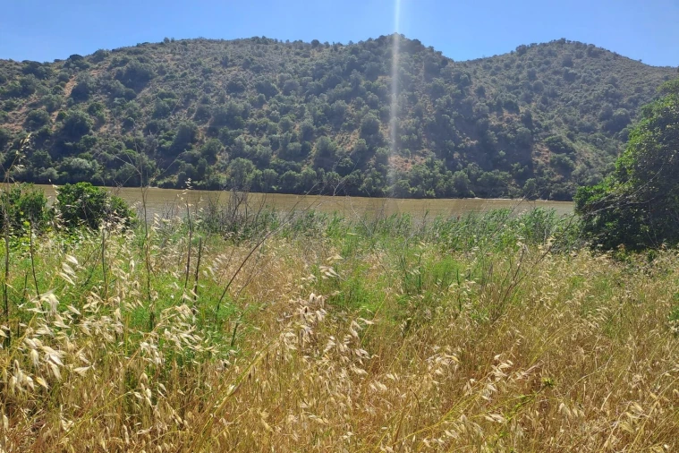 Terreno para Venda em Alcoutim e Pereiro Foto 2