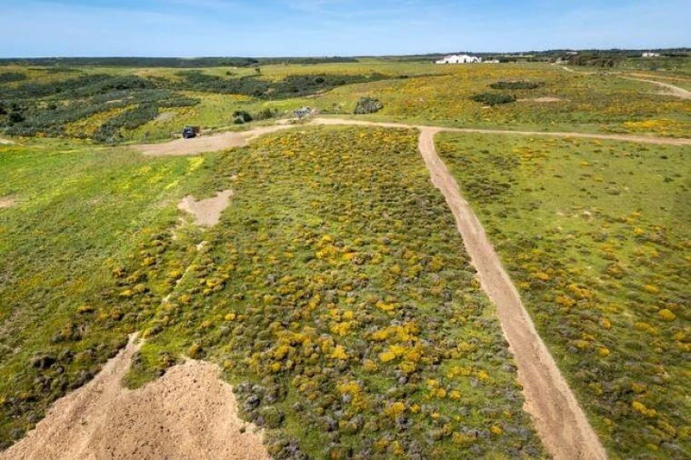 Terreno para Venda em Vila do Bispo e Raposeira Foto 4