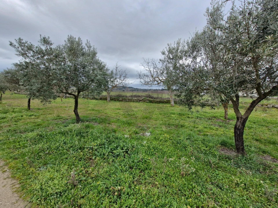 Terreno para Venda em Freixo de Numão Foto 26