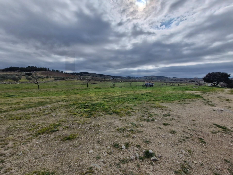 Terreno para Venda em Freixo de Numão Foto 38