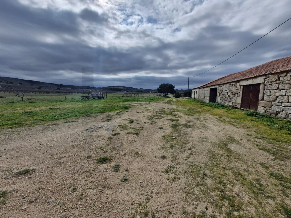 Terreno para Venda em Freixo de Numão Foto 40