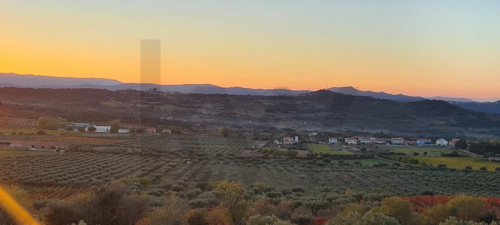 Terreno para Venda em Freixo de Numão Foto 3