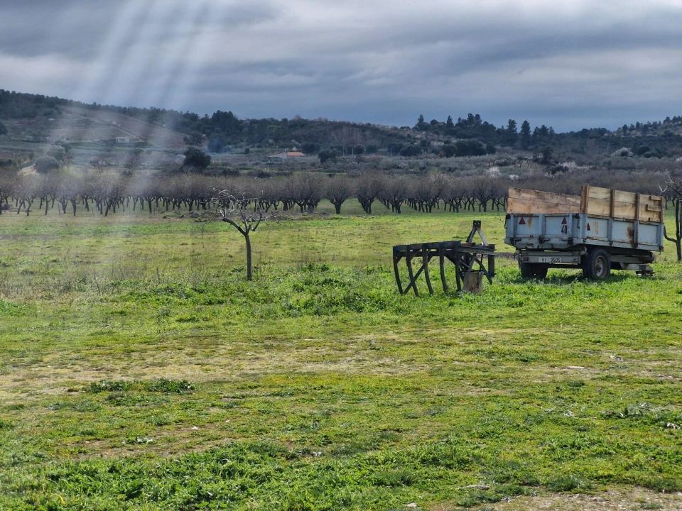 Terreno para Venda em Freixo de Numão Foto 42