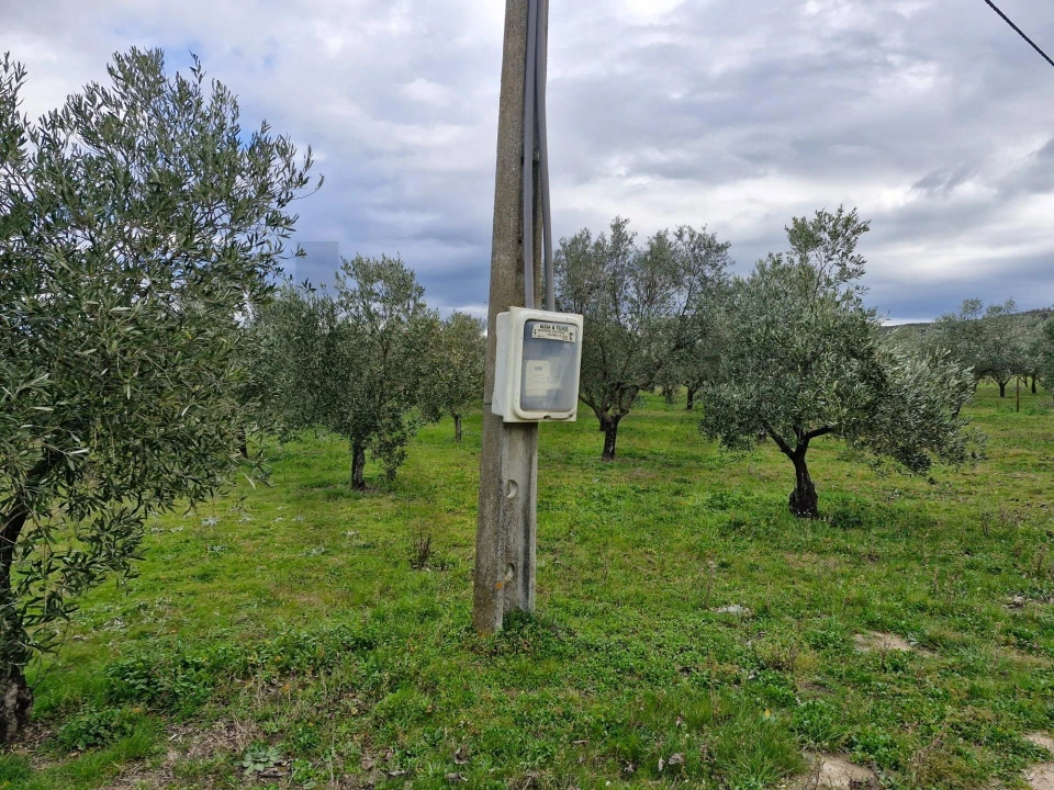 Terreno para Venda em Freixo de Numão Foto 31