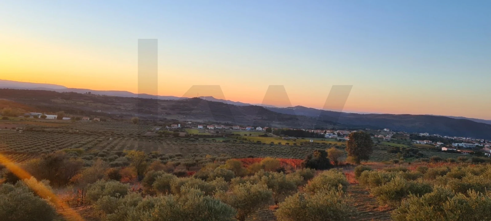 Terreno para Venda em Freixo de Numão Foto 1