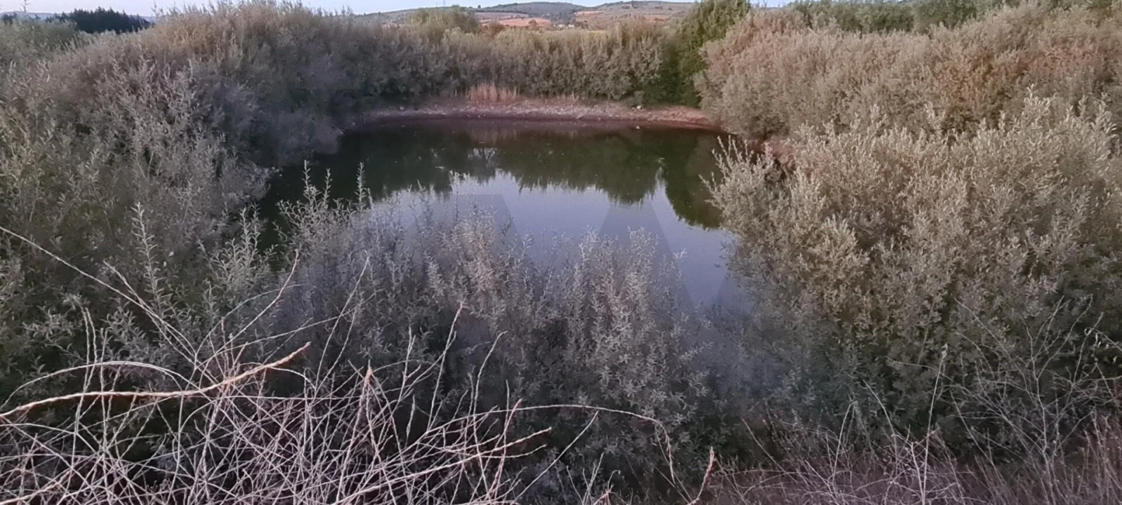 Terreno para Venda em Freixo de Numão Foto 18