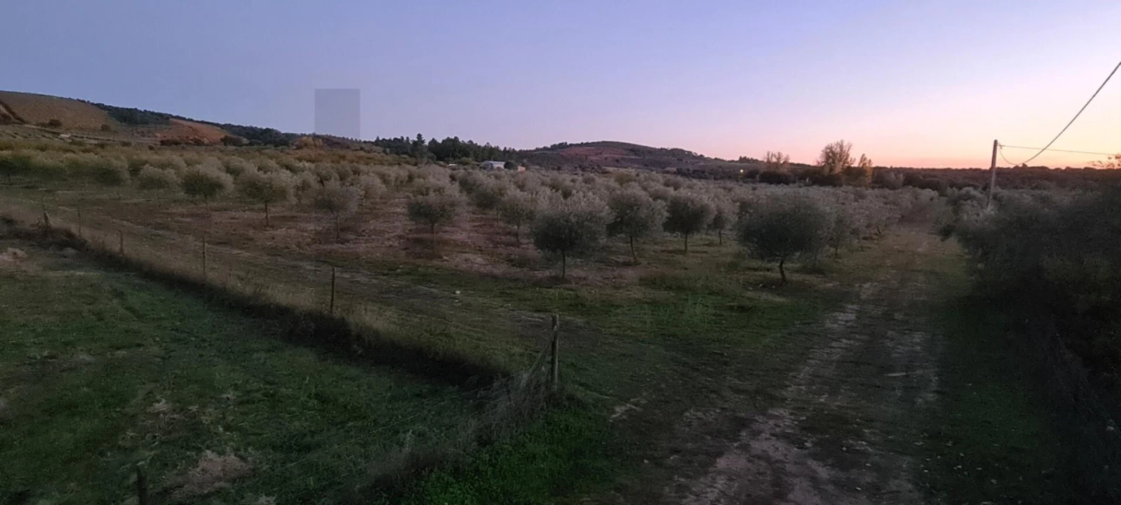 Terreno para Venda em Freixo de Numão Foto 23