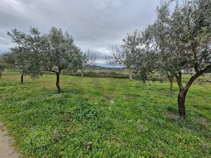 Terreno para Venda em Freixo de Numão Foto 26