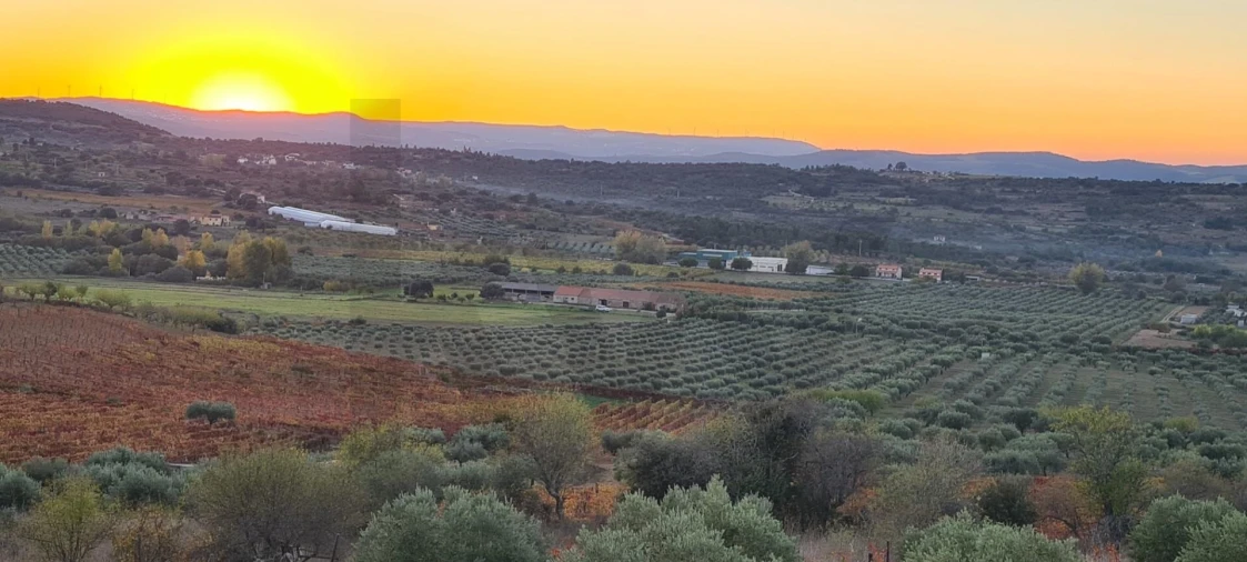 Terreno para Venda em Freixo de Numão Foto 8