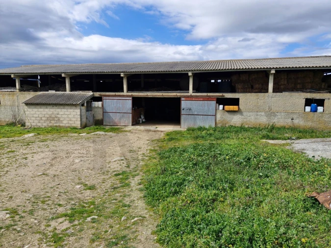 Terreno para Venda em Freixo de Numão Foto 45