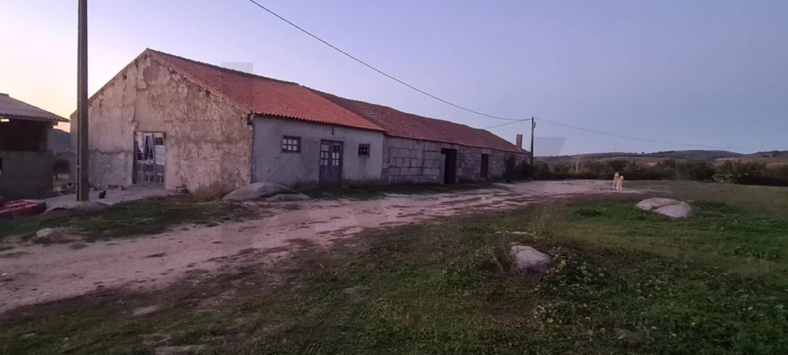 Terreno para Venda em Freixo de Numão Foto 20