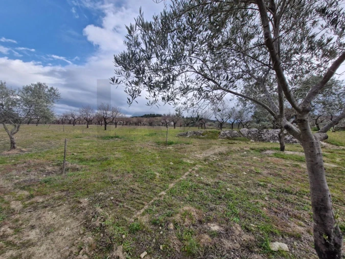Terreno para Venda em Freixo de Numão Foto 35