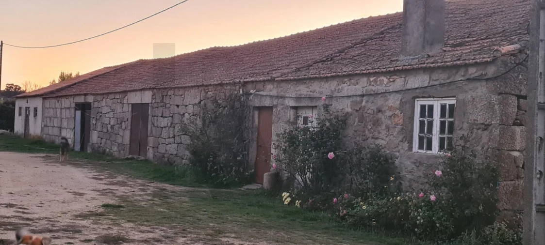Terreno para Venda em Freixo de Numão Foto 13