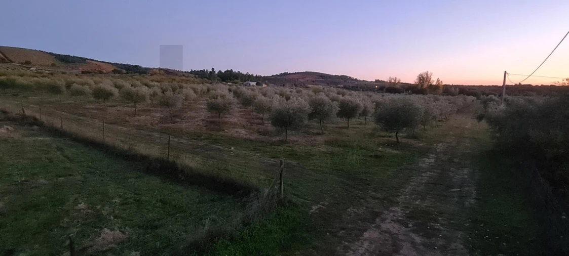 Terreno para Venda em Freixo de Numão Foto 23