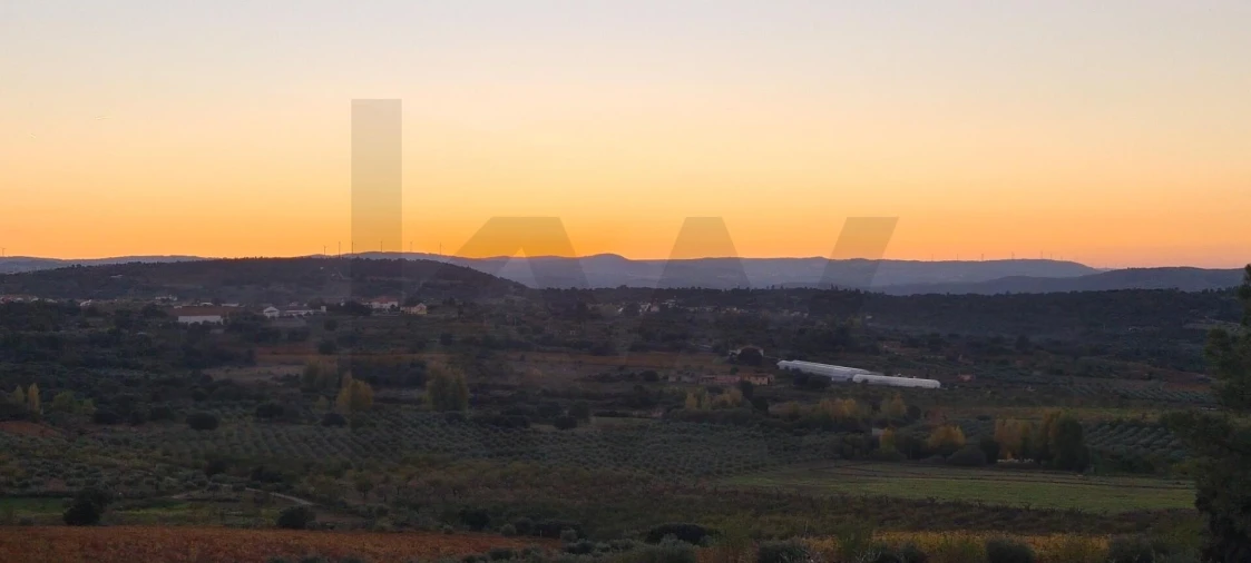Terreno para Venda em Freixo de Numão Foto 11
